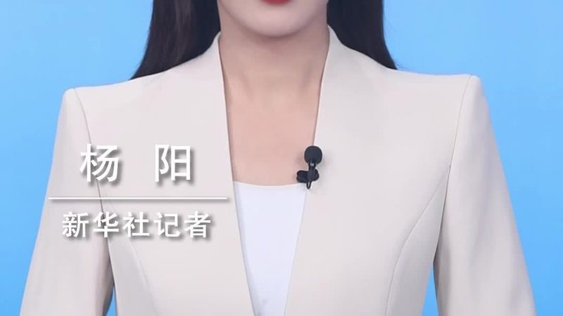 智慧解决方案：性价比高的关键要素解析